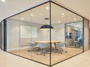 Single Glass Partition Series 01