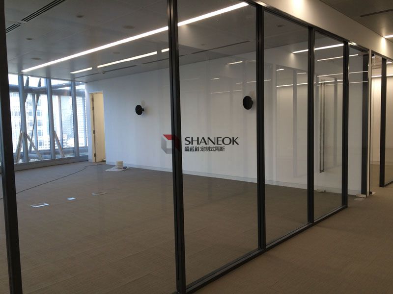 Single Glass Partition Series